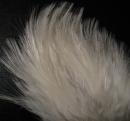 ����� �� ����� Tailing (��� ��������� ���) white/�����